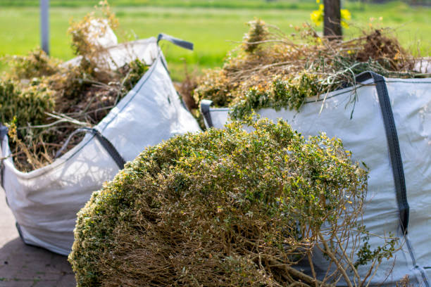 Best Furniture Removal Near Me  in East Mckeesport, PA